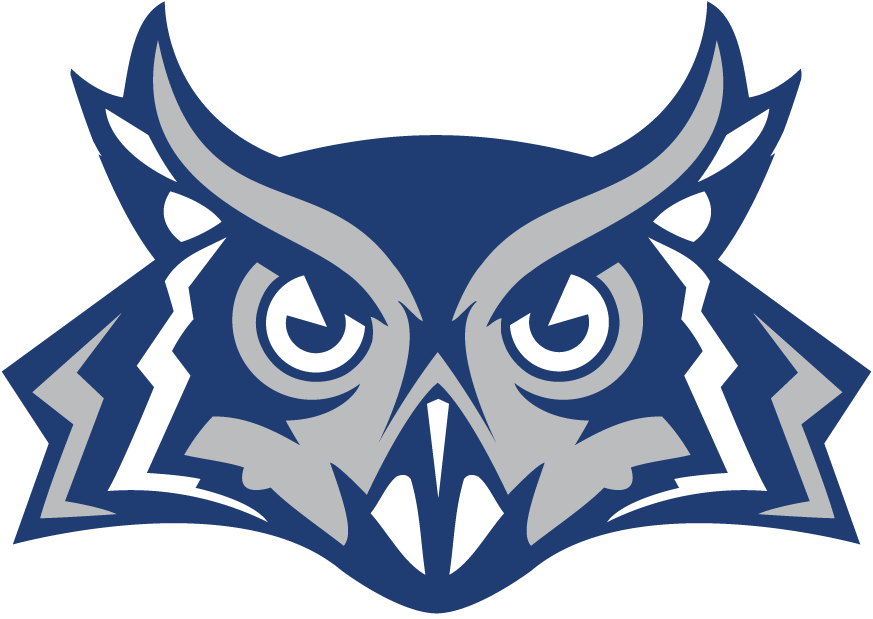 Rice Owls 2010-Pres Alternate Logo diy iron on heat transfer